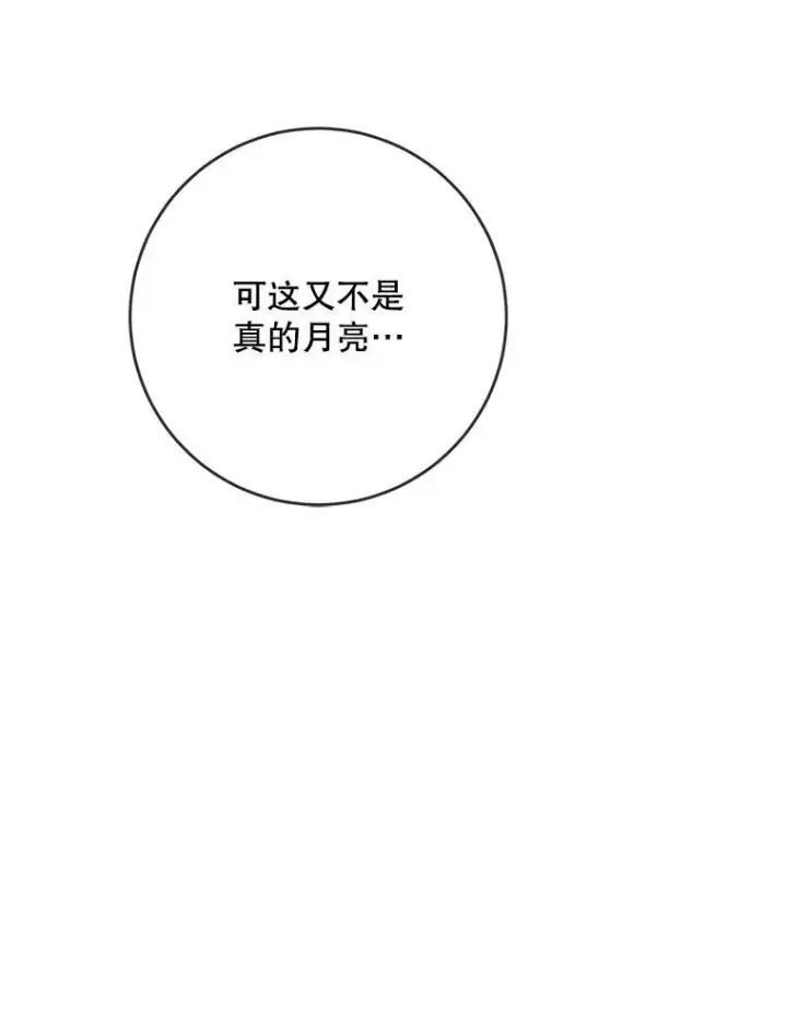 《被嫌弃的私生女》55.庭院月色图110