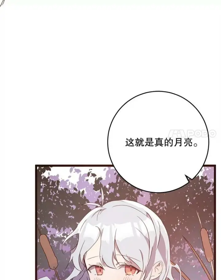 《被嫌弃的私生女》55.庭院月色图112