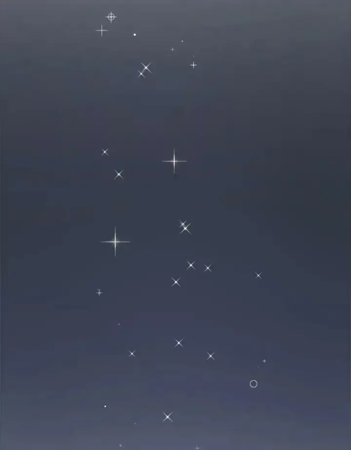 《被嫌弃的私生女》55.庭院月色图63