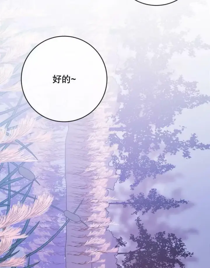 《被嫌弃的私生女》55.庭院月色图94
