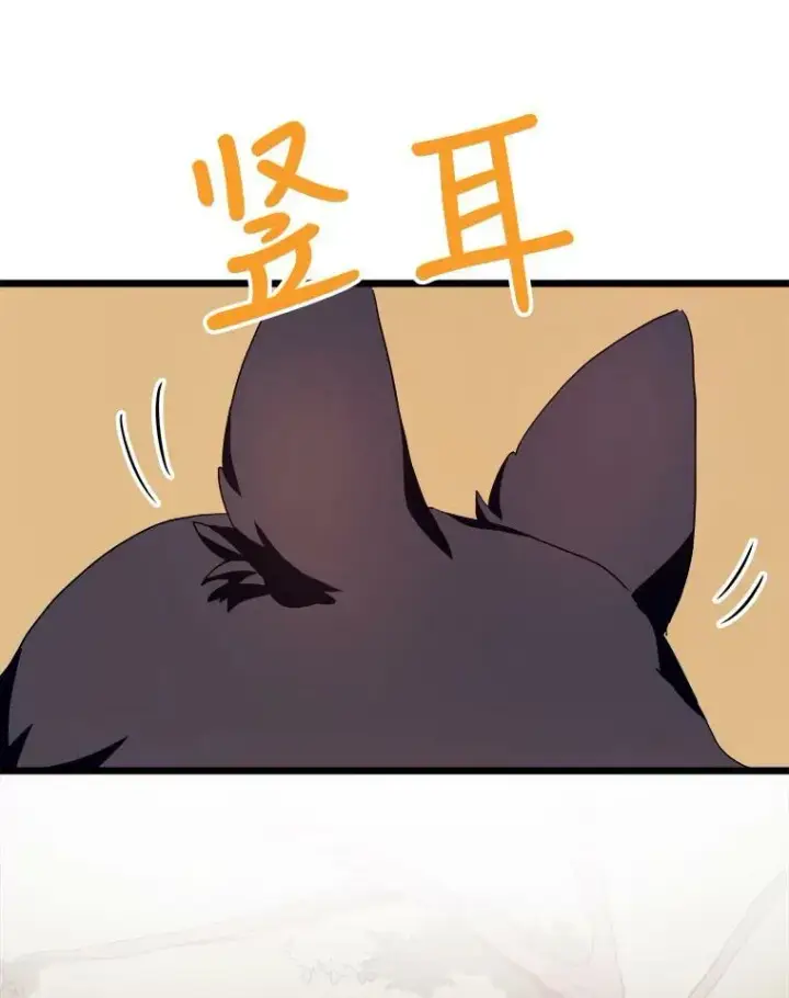 《被嫌弃的私生女》59.精灵族的客人图80