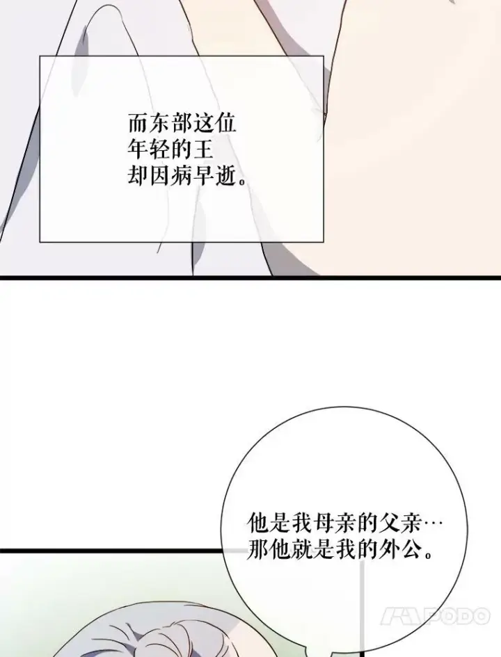 《被嫌弃的私生女》59.精灵族的客人图98