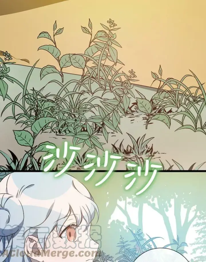 《被嫌弃的私生女》60.惹哭塔拉图21