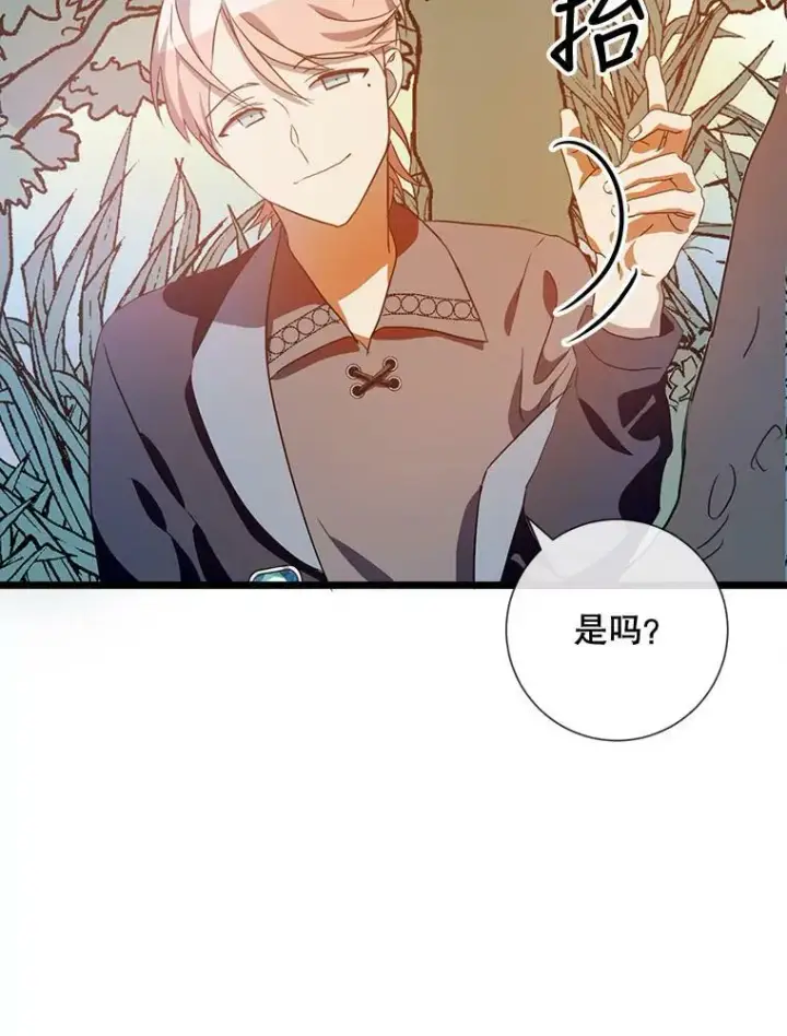 《被嫌弃的私生女》60.惹哭塔拉图66