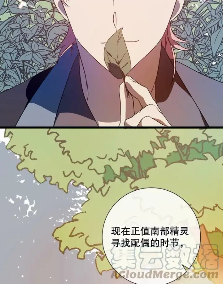 《被嫌弃的私生女》60.惹哭塔拉图69