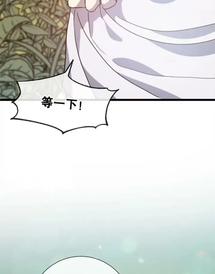 《被嫌弃的私生女》60.惹哭塔拉图76