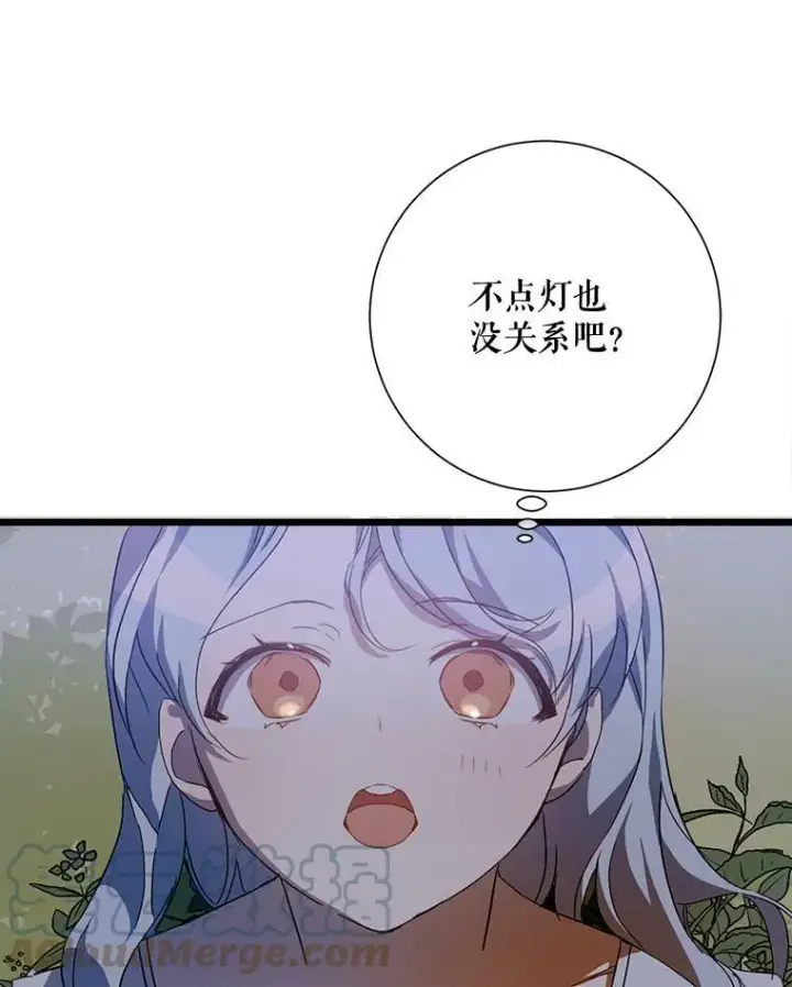 《被嫌弃的私生女》63.丢失的项链图105