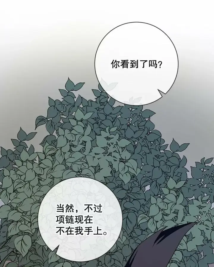 《被嫌弃的私生女》63.丢失的项链图112