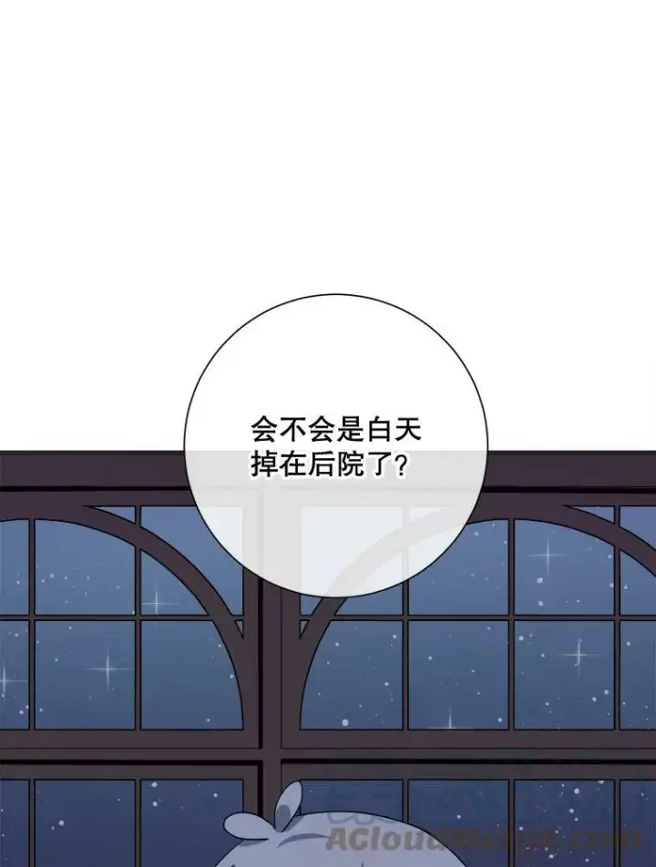 《被嫌弃的私生女》63.丢失的项链图49