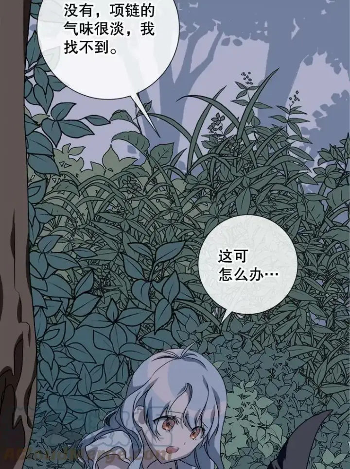 《被嫌弃的私生女》63.丢失的项链图69