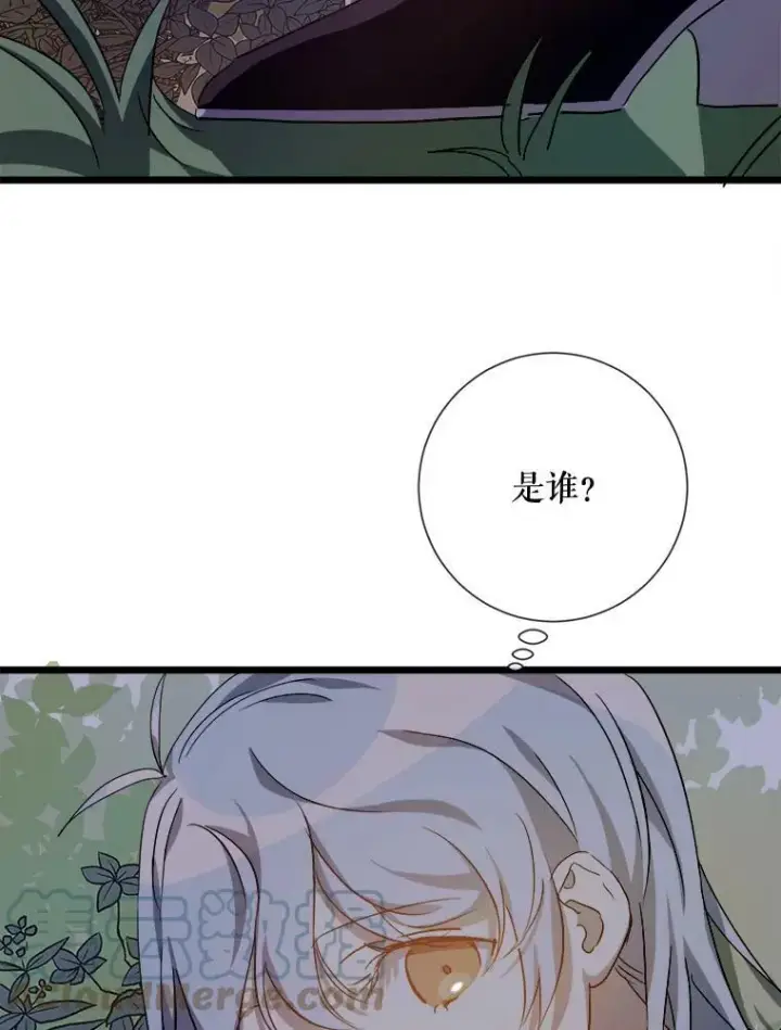 《被嫌弃的私生女》63.丢失的项链图97