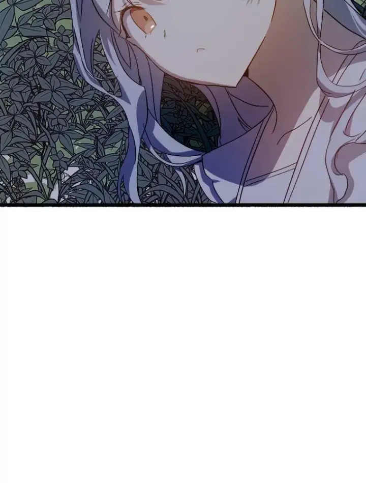 《被嫌弃的私生女》63.丢失的项链图98