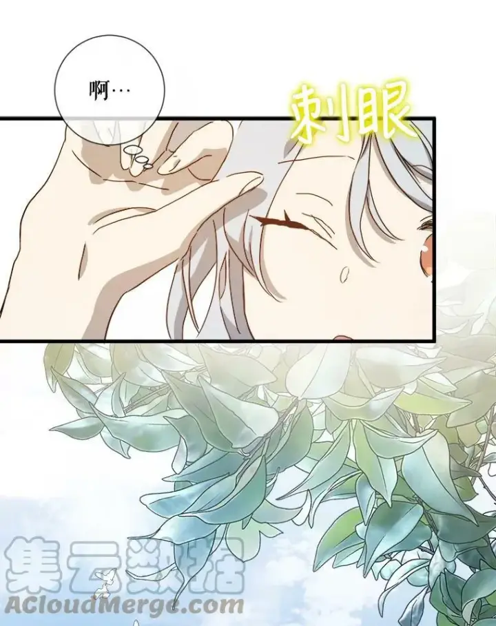 《被嫌弃的私生女》69.冬天图81