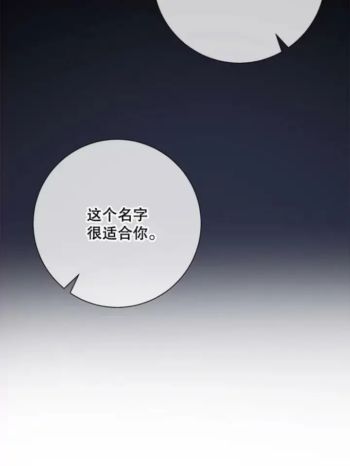 《被嫌弃的私生女》75.独角兽图6