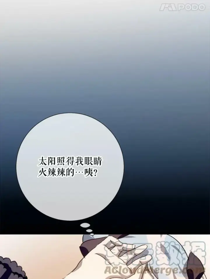 《被嫌弃的私生女》76.飞驰图101