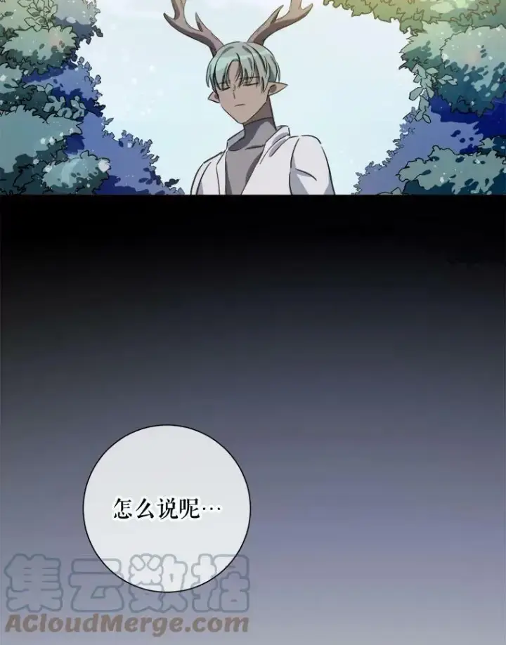 《被嫌弃的私生女》76.飞驰图13