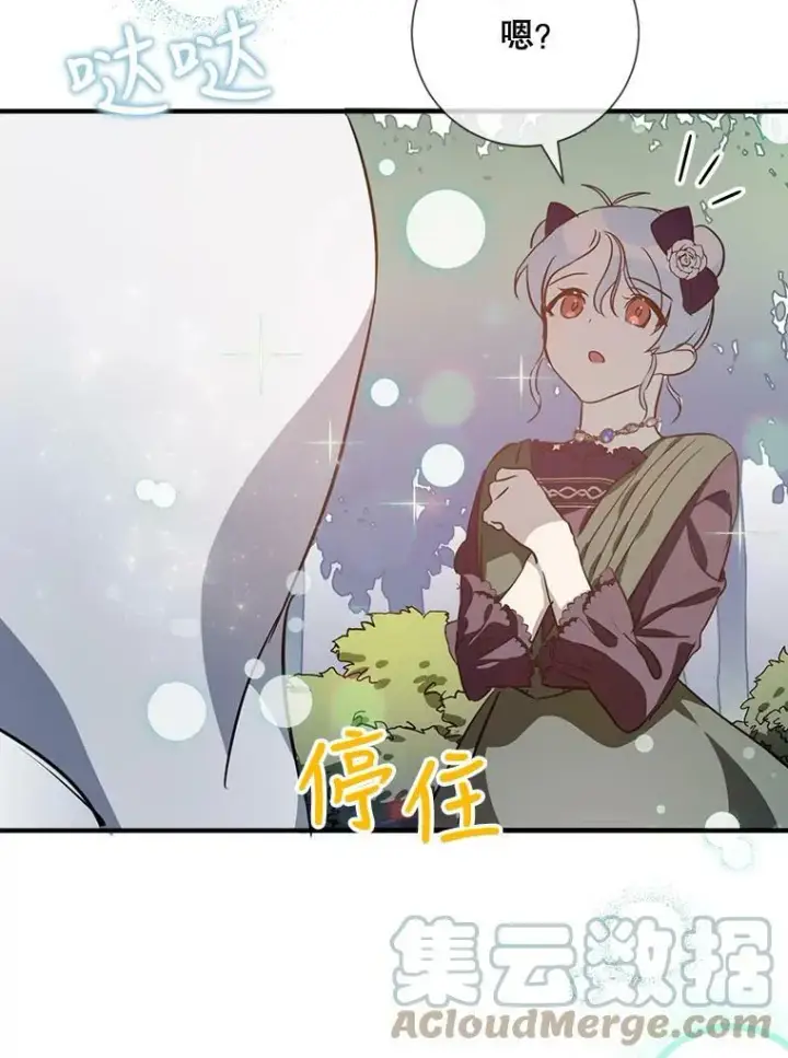 《被嫌弃的私生女》76.飞驰图37