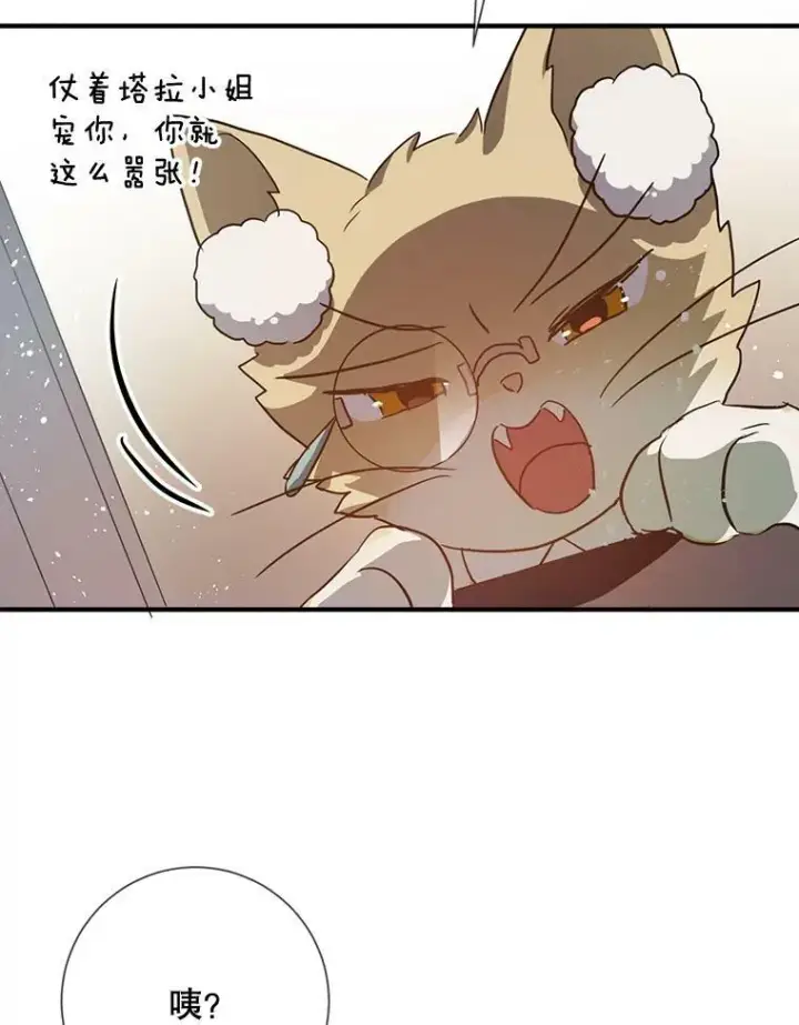 《被嫌弃的私生女》76.飞驰图72