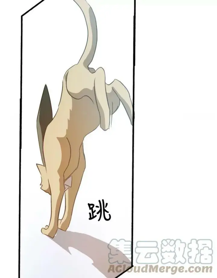 《被嫌弃的私生女》76.飞驰图77