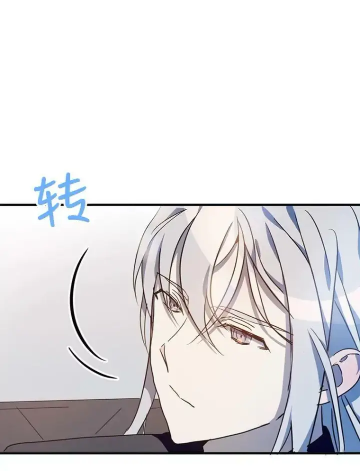 《被嫌弃的私生女》76.飞驰图80