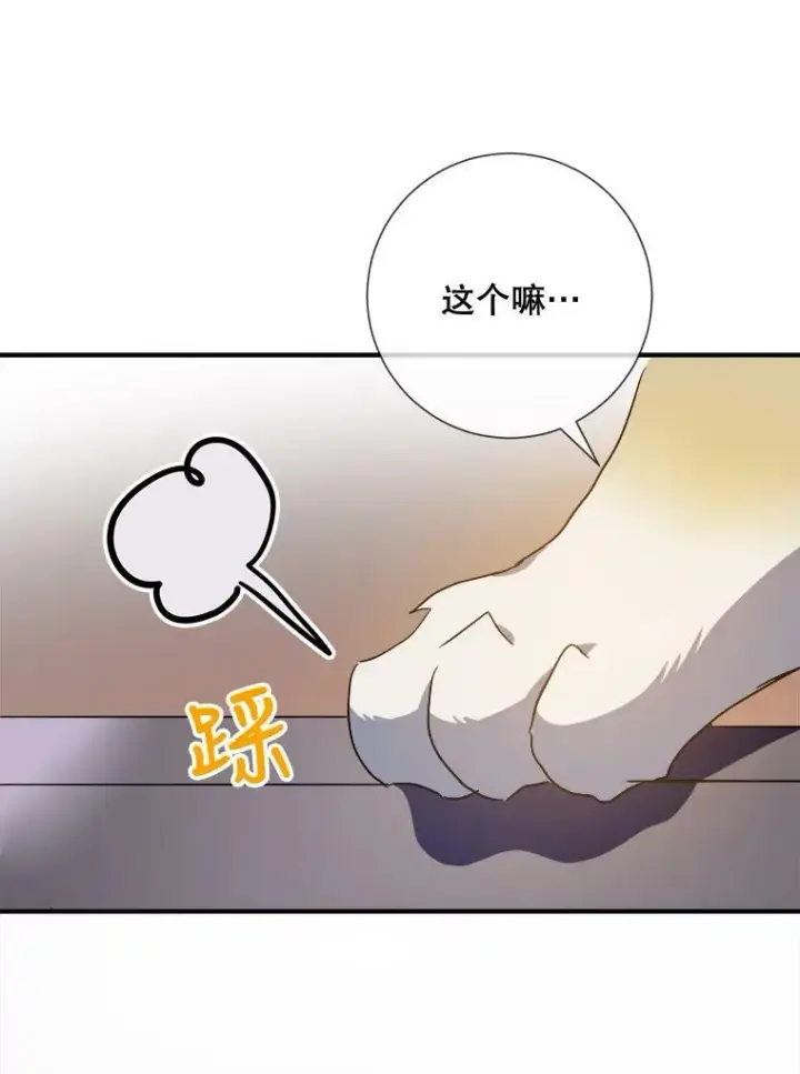 《被嫌弃的私生女》77.言灵图70
