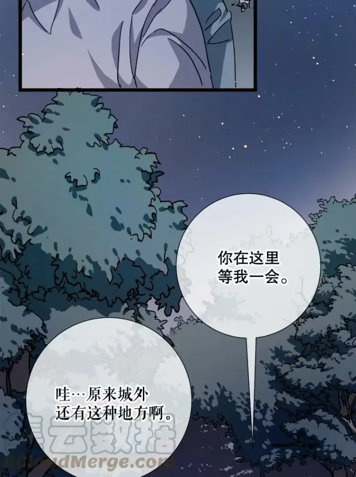 《被嫌弃的私生女》80.城外觅食图58