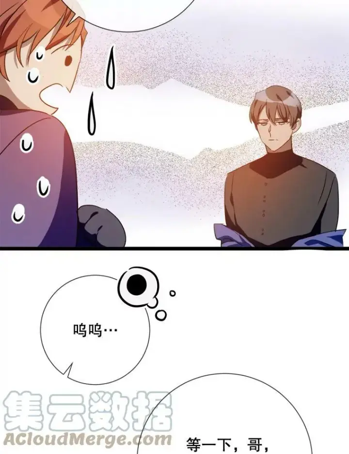 《被嫌弃的私生女》83.战争图69
