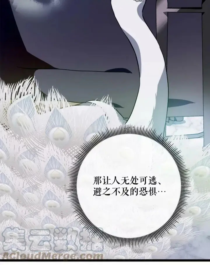 《被嫌弃的私生女》84.恐惧图13