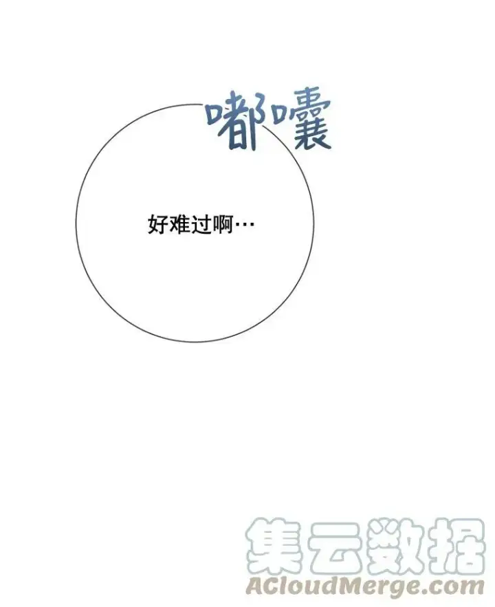 《被嫌弃的私生女》86.定义为幸福图109