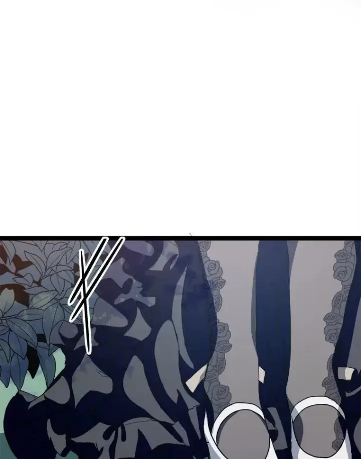 《被嫌弃的私生女》86.定义为幸福图66