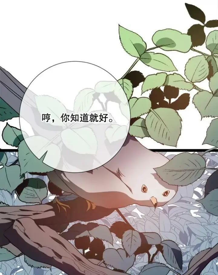 《被嫌弃的私生女》87.郊游图56