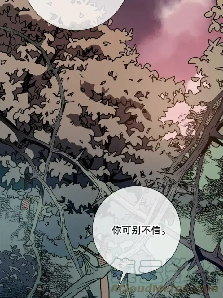 《被嫌弃的私生女》89.奇怪的布谷鸟图37