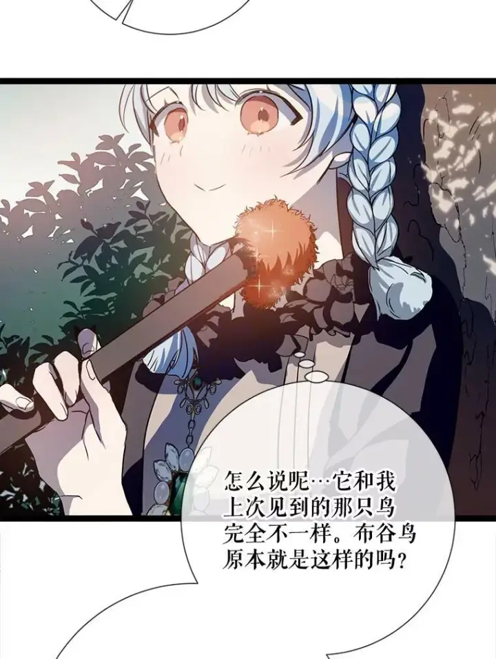 《被嫌弃的私生女》89.奇怪的布谷鸟图42