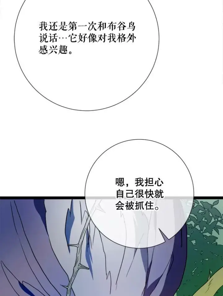 《被嫌弃的私生女》89.奇怪的布谷鸟图43