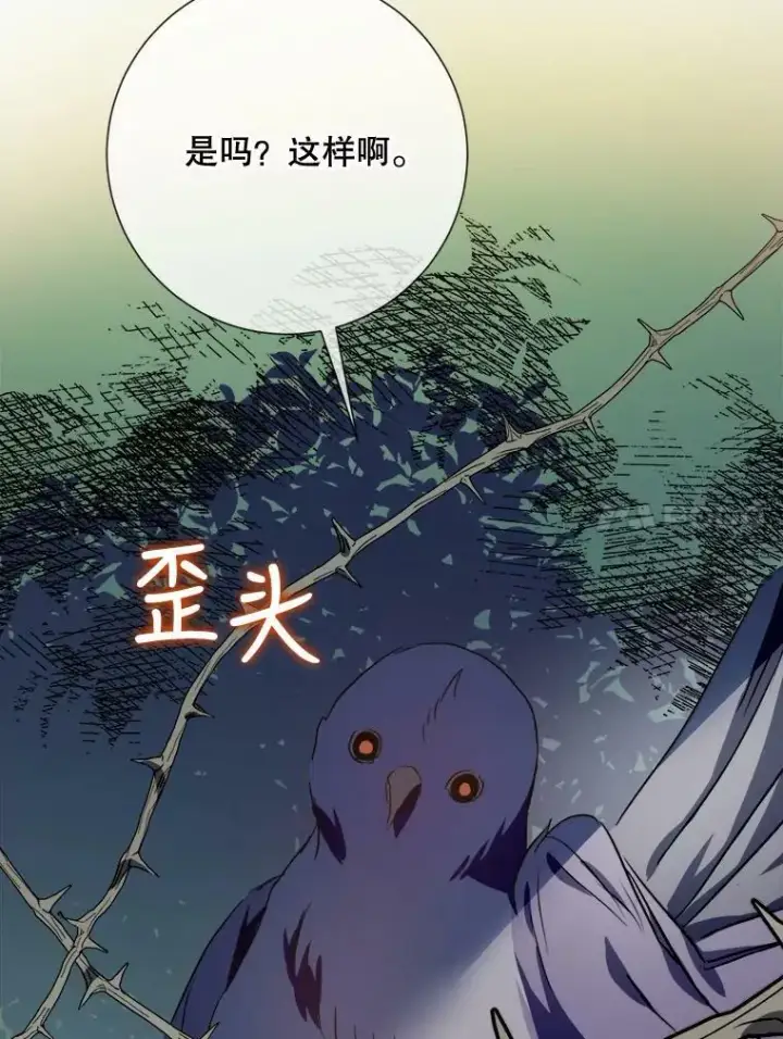 《被嫌弃的私生女》89.奇怪的布谷鸟图50