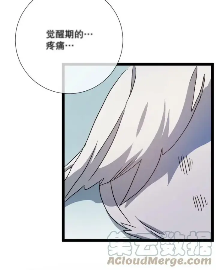 《被嫌弃的私生女》90.觉醒图29