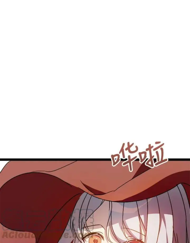 《被嫌弃的私生女》95.顶撞玖多图37