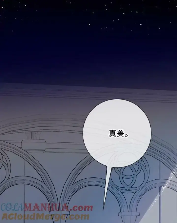 《被嫌弃的私生女》99.再见弗雷亚图28