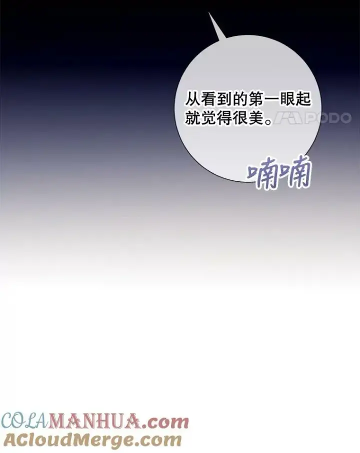 《被嫌弃的私生女》99.再见弗雷亚图31