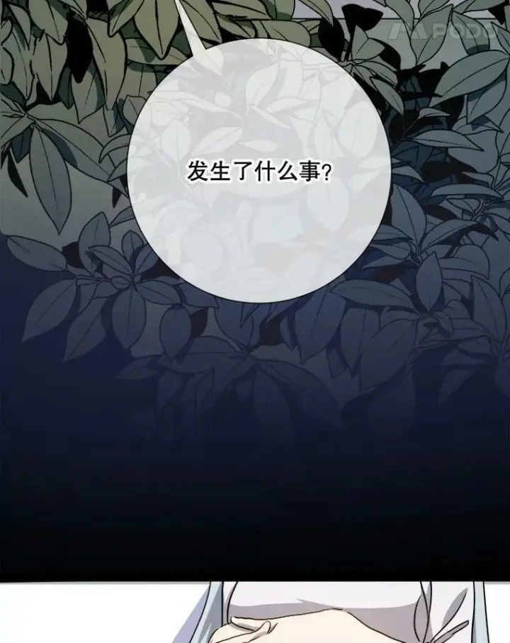 《被嫌弃的私生女》99.再见弗雷亚图38