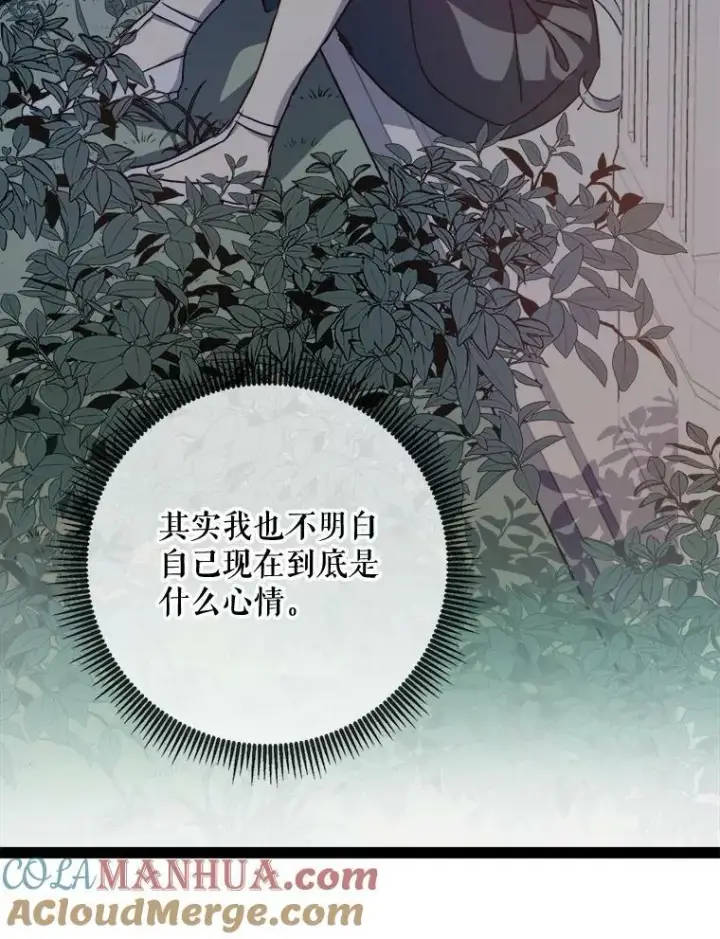 《被嫌弃的私生女》99.再见弗雷亚图43