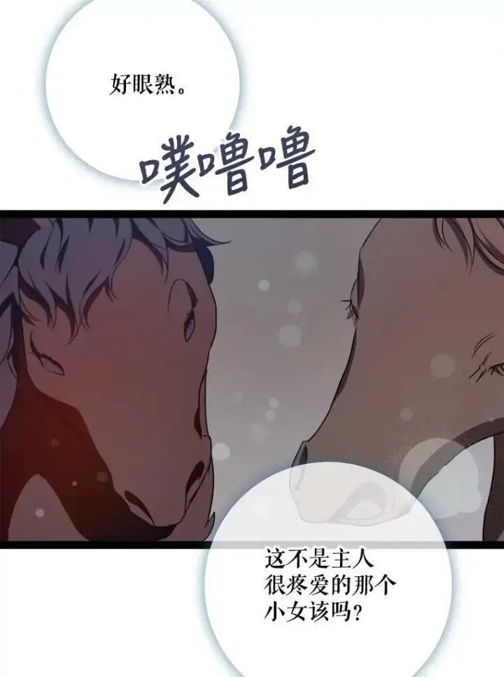 《被嫌弃的私生女》99.再见弗雷亚图72