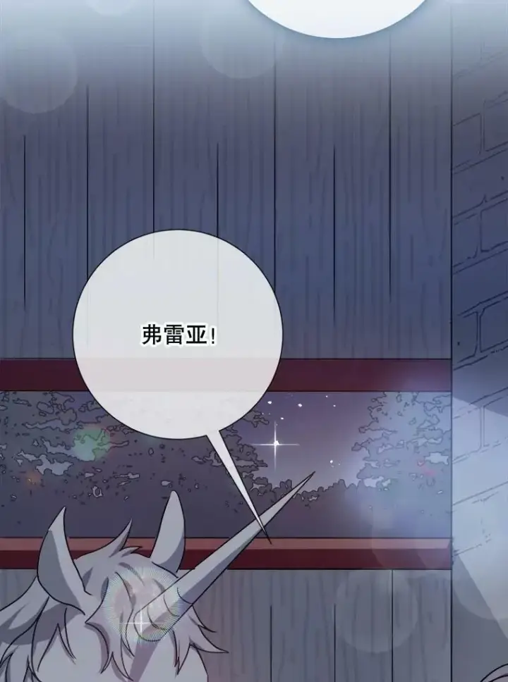 《被嫌弃的私生女》99.再见弗雷亚图74