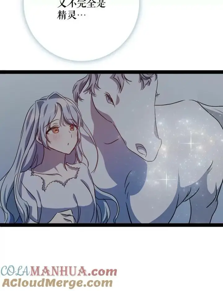 《被嫌弃的私生女》99.再见弗雷亚图82