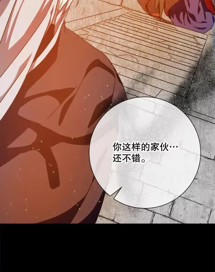 《被嫌弃的私生女》105.走向毁灭图44