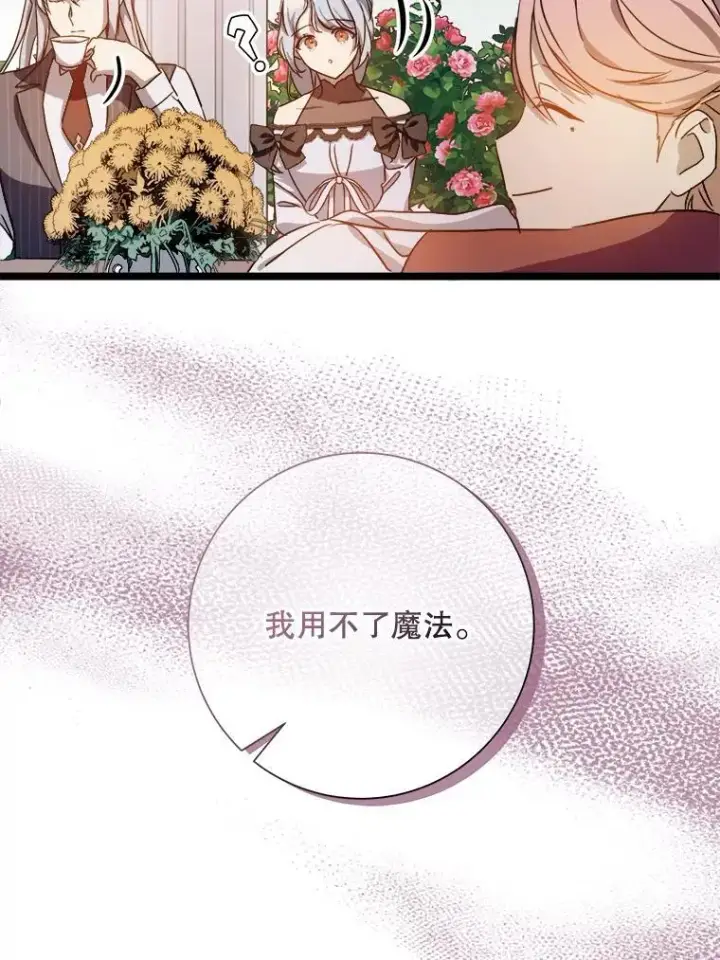 《被嫌弃的私生女》107.一起参加茶话会图57