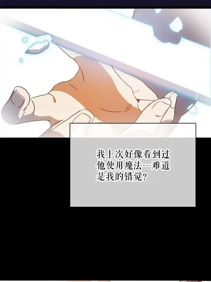 《被嫌弃的私生女》107.一起参加茶话会图60