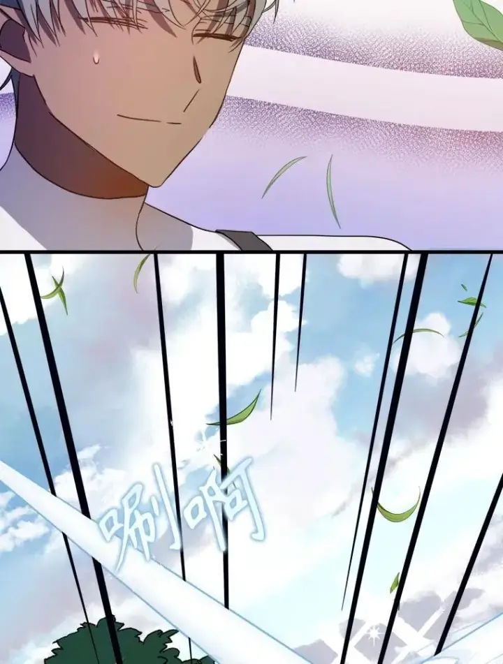 《被嫌弃的私生女》108.比试图68