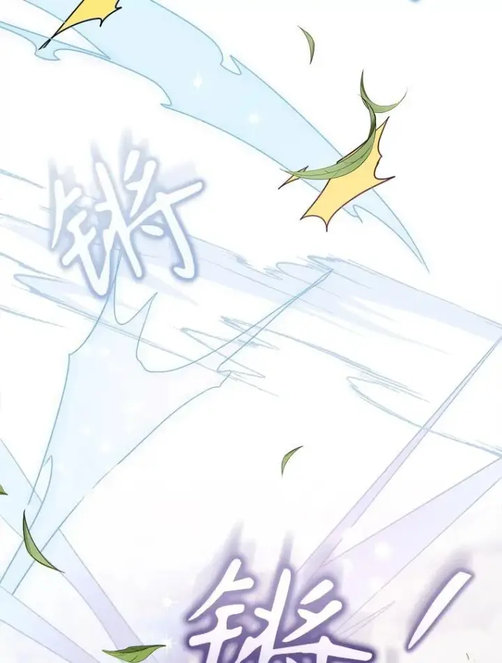 《被嫌弃的私生女》108.比试图72