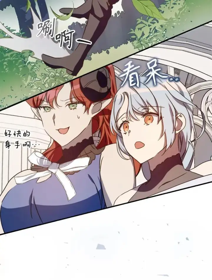 《被嫌弃的私生女》108.比试图74